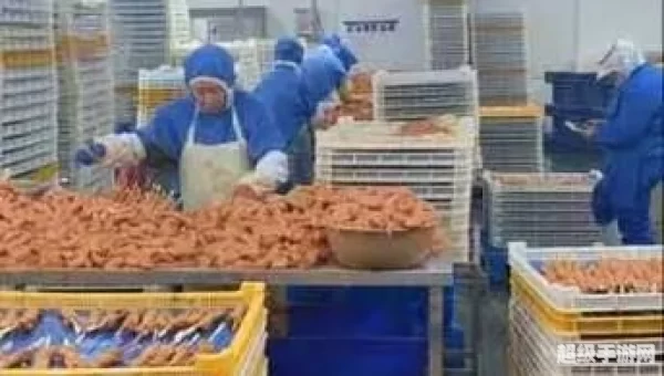 打零工