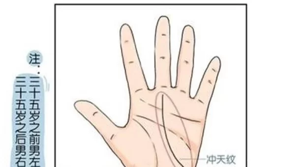 天纹缠