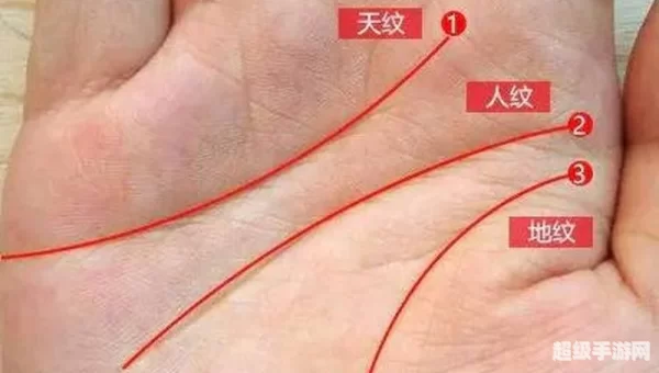 天纹缠