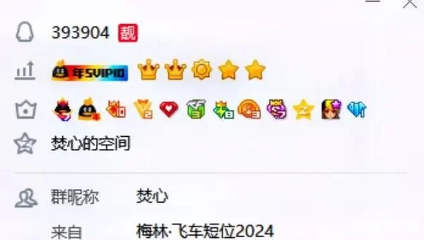 qq飞车豪华紫钻