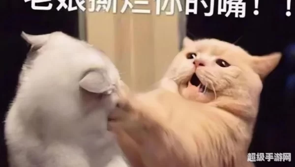 暴走表情包