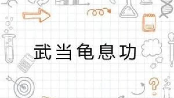 武当龟息功